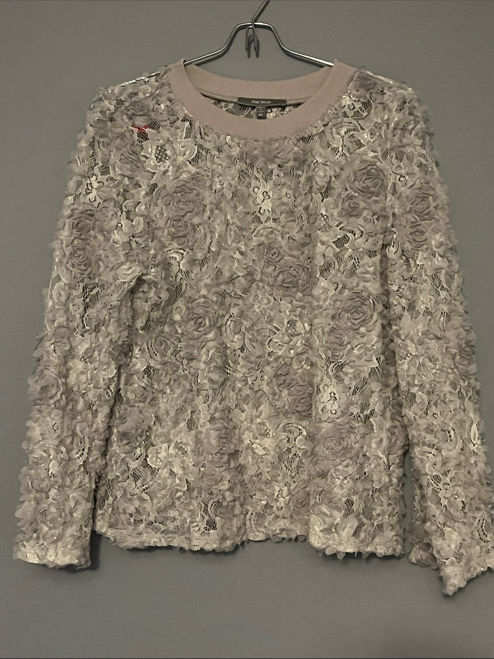Floral Appliqué Crewneck Sweater in Cream by Banana Republic
